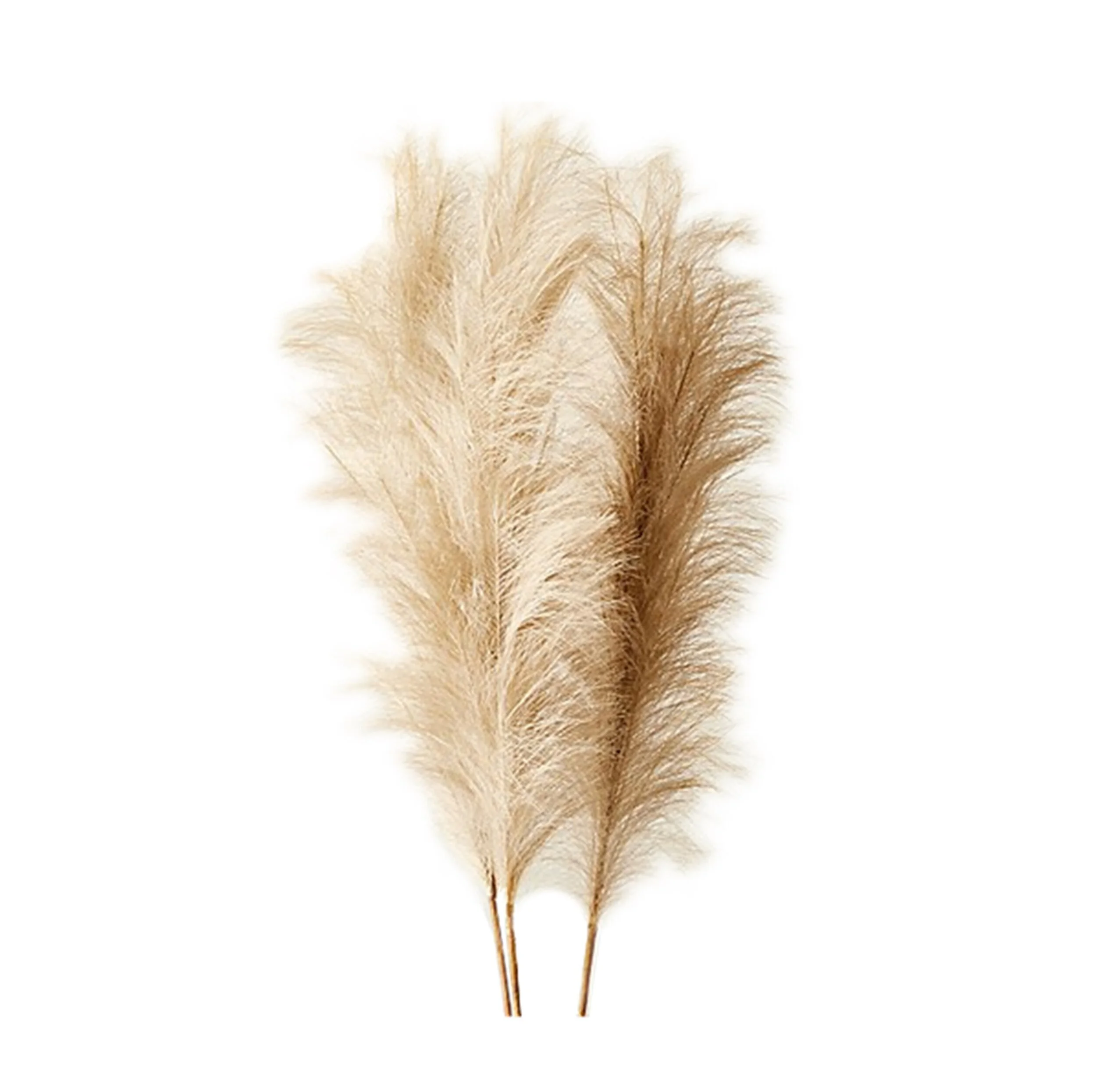Artificial pampas grass online